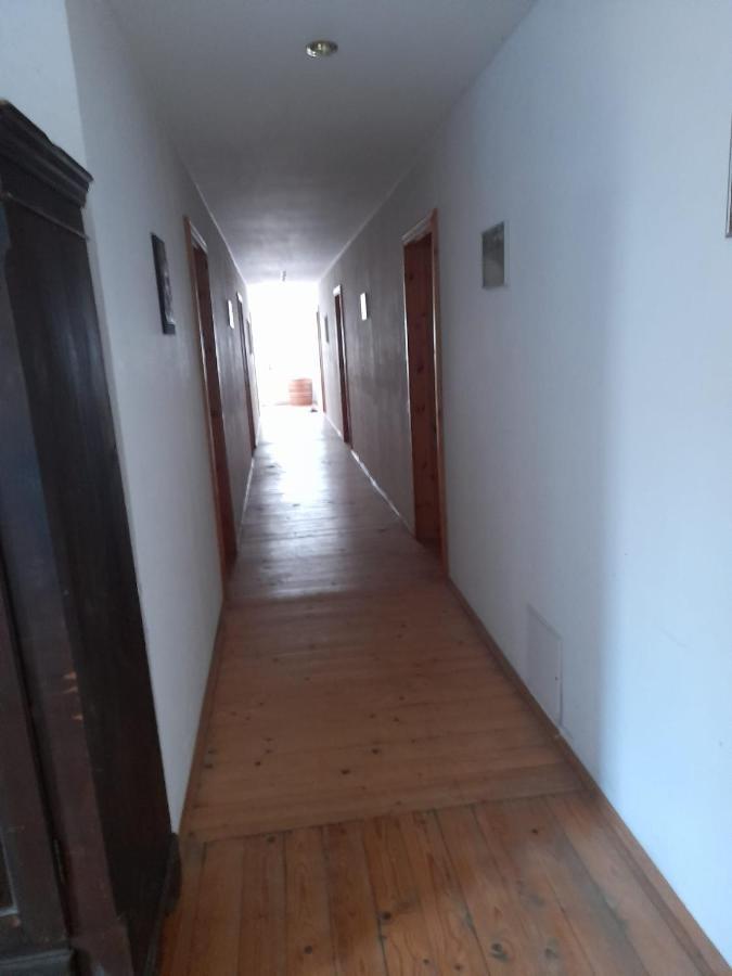 Pension Schwalbenhof Gestut Bartos Lommatzsch Экстерьер фото