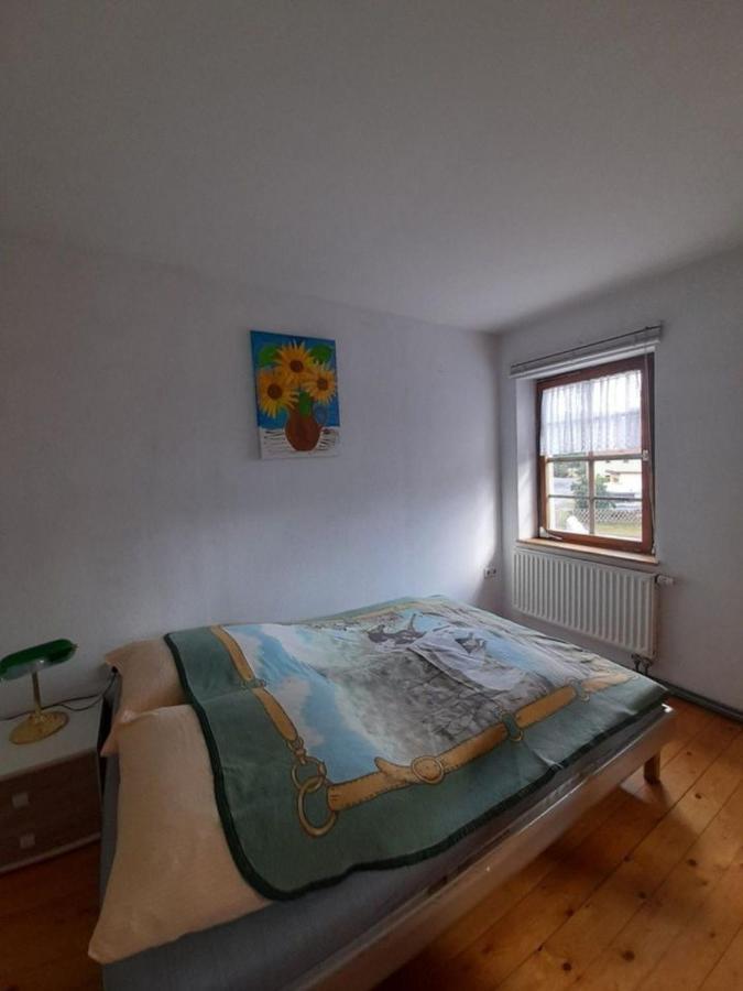 Pension Schwalbenhof Gestut Bartos Lommatzsch Экстерьер фото